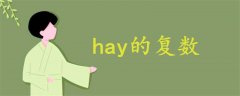 hay的復數(shù)