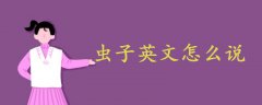 蟲(chóng)子英文怎么說(shuō)